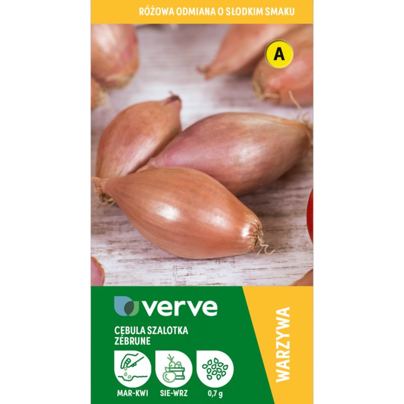 Frø af løg Zebrune Verve