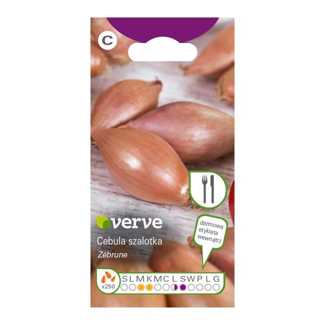 Frø af løg Zebrune Verve