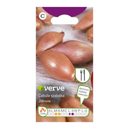 Frø af løg Zebrune Verve