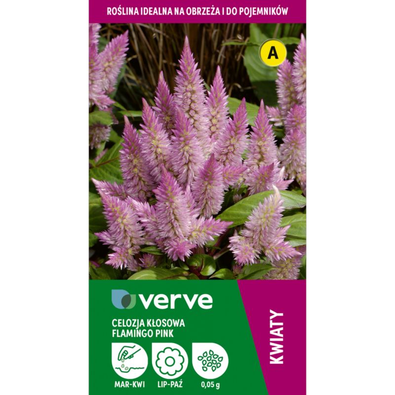 Frø af celozja Verve i pink