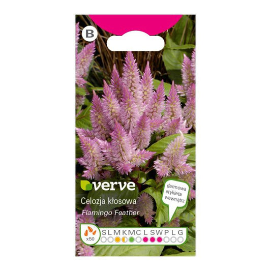 Frø af celozja Verve i pink