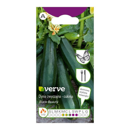 Frø til squash Black Beauty Verve