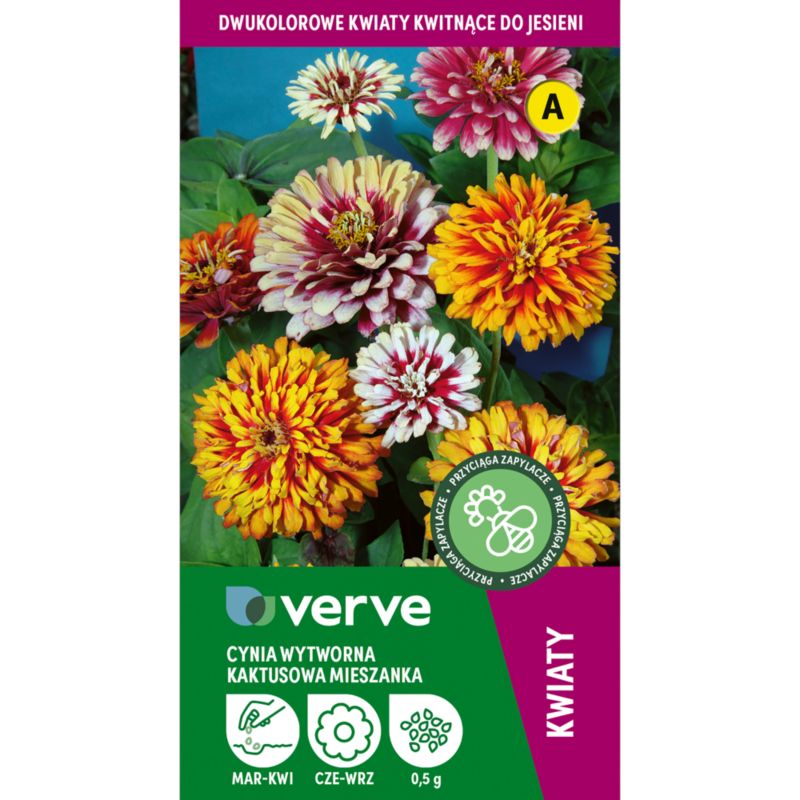 Frø af zinnia Whirlygig Verve mix