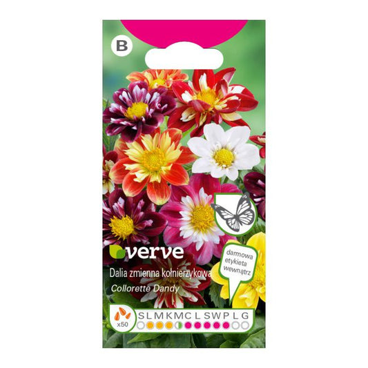Frø til dalia Collarette Dandy Verve