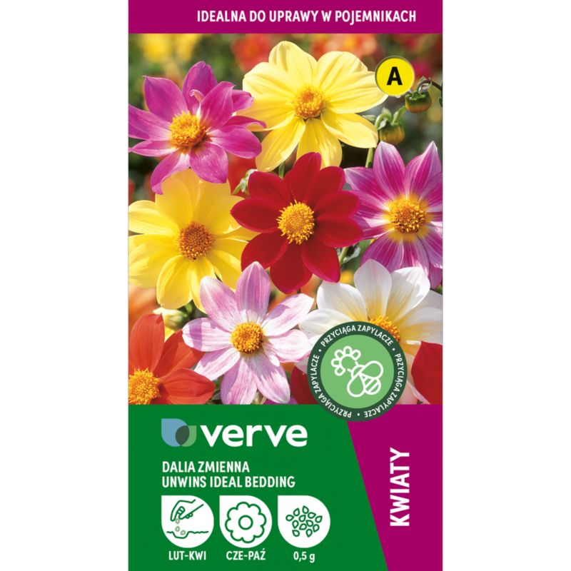 Frø af lav dahlia Border Verve mix