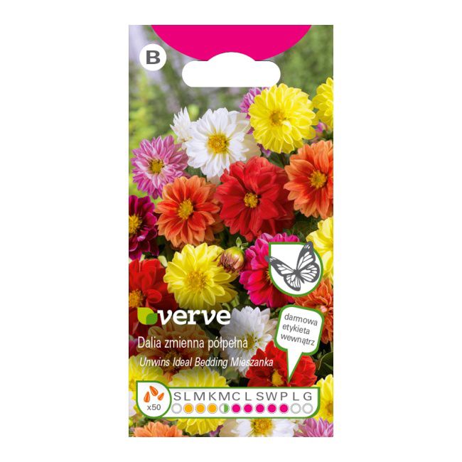 Frø af lav dahlia Border Verve mix