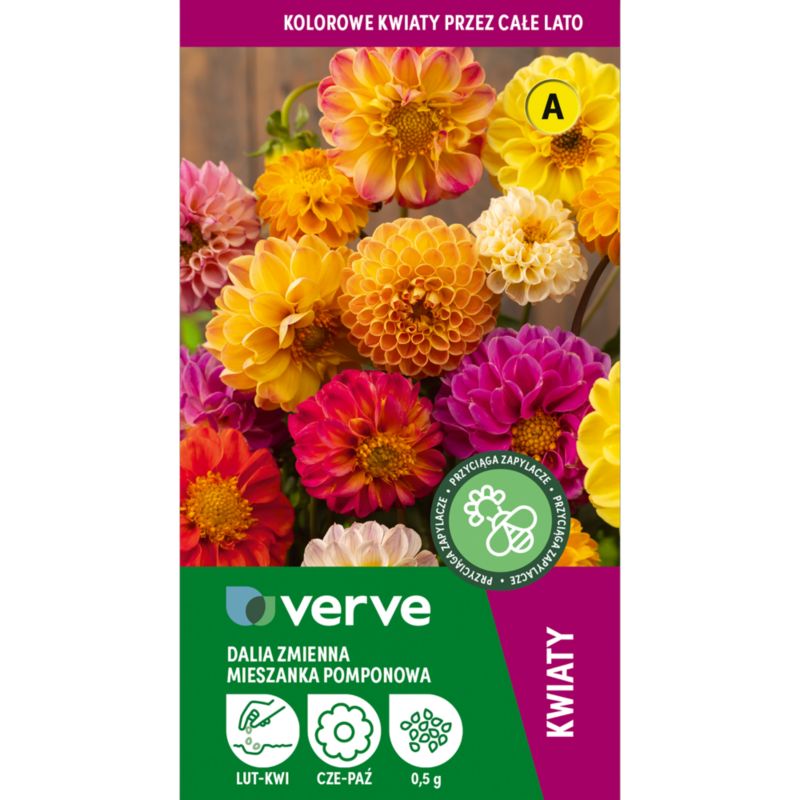 Frø til dahlia Verve mix
