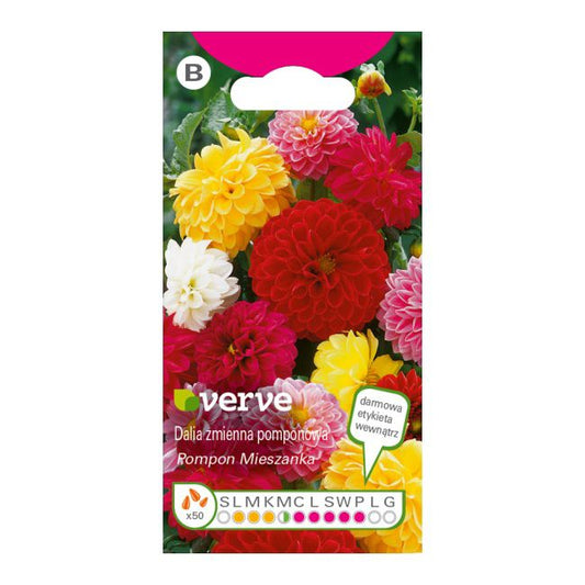 Frø til dahlia Verve mix