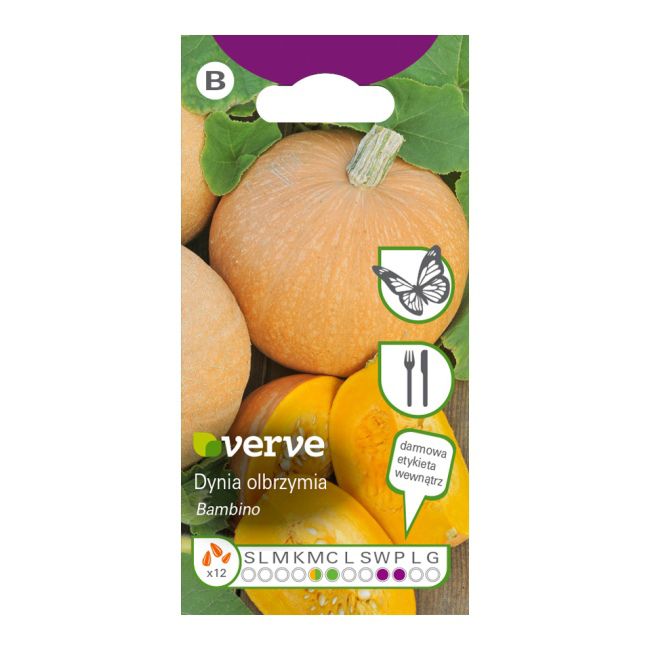 Frø til græskar Bambino Verve