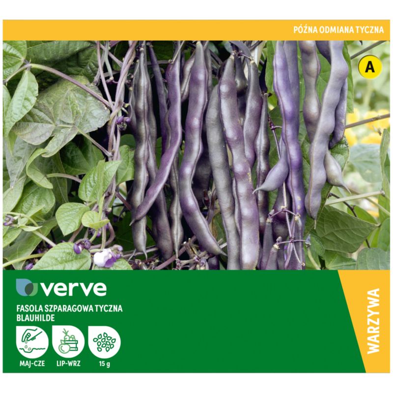 Frø af blåviolet Blauhilde bønne Seed Verve
