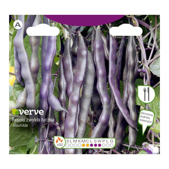 Frø af blåviolet Blauhilde bønne Seed Verve