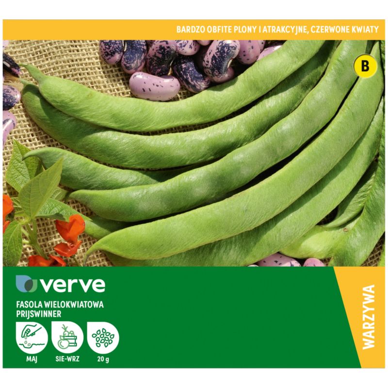 Frø af bønne Prizewinner Verve