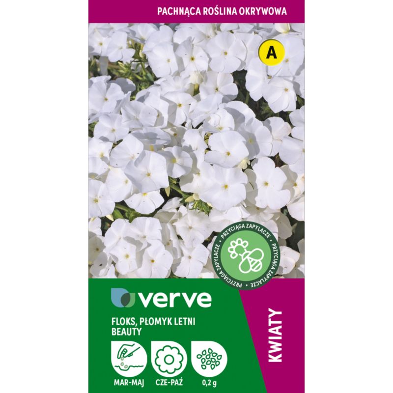 Frø af phlox Drumonnda White Beauty Verve