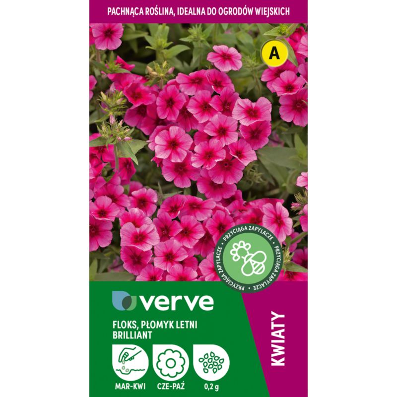 Frø af Verve floks i pink