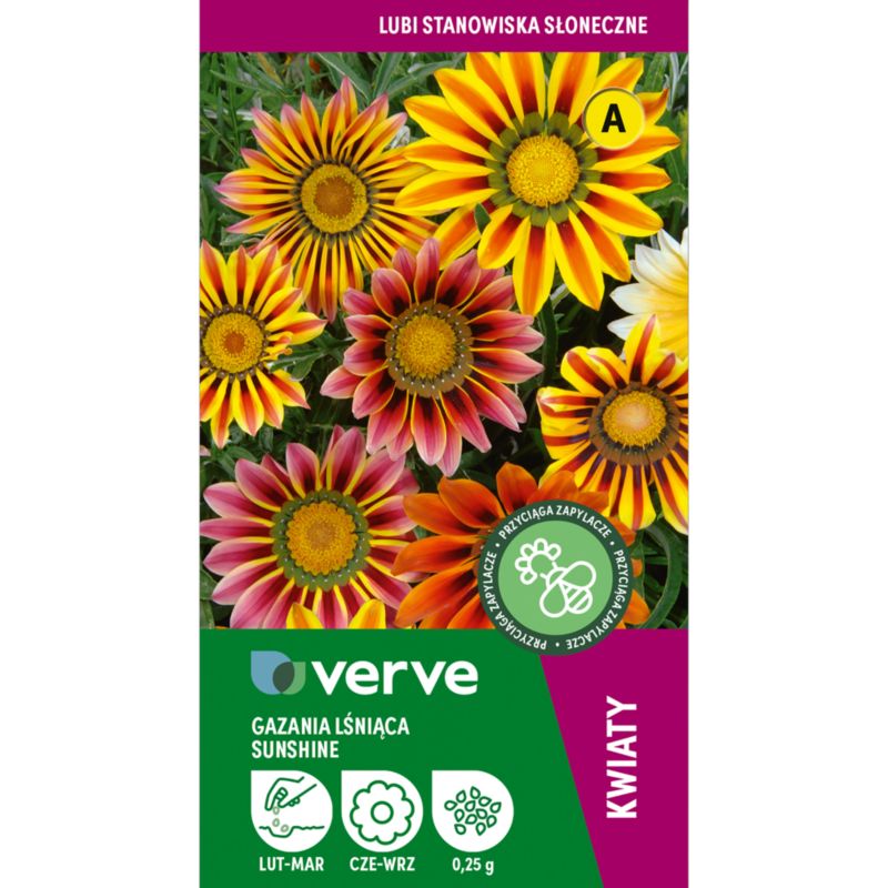 Frø af gazania Sunshine Verve