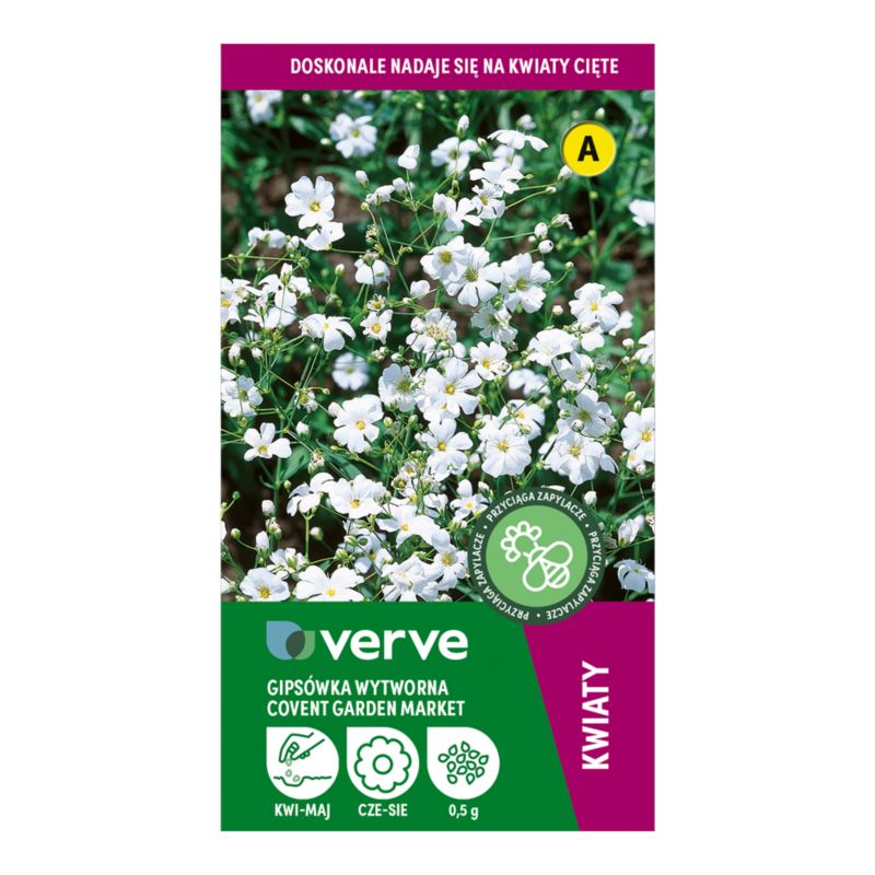 Frø til gypsophila Verve