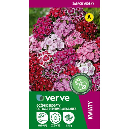 Frø af skægget nellike Cottage Perfume Verve