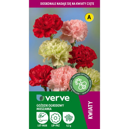 Frø til havekrysantemum Verve mix