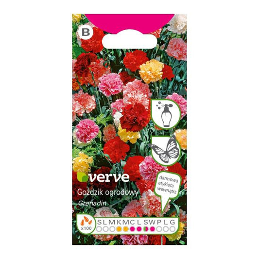 Frø til havekrysantemum Verve mix