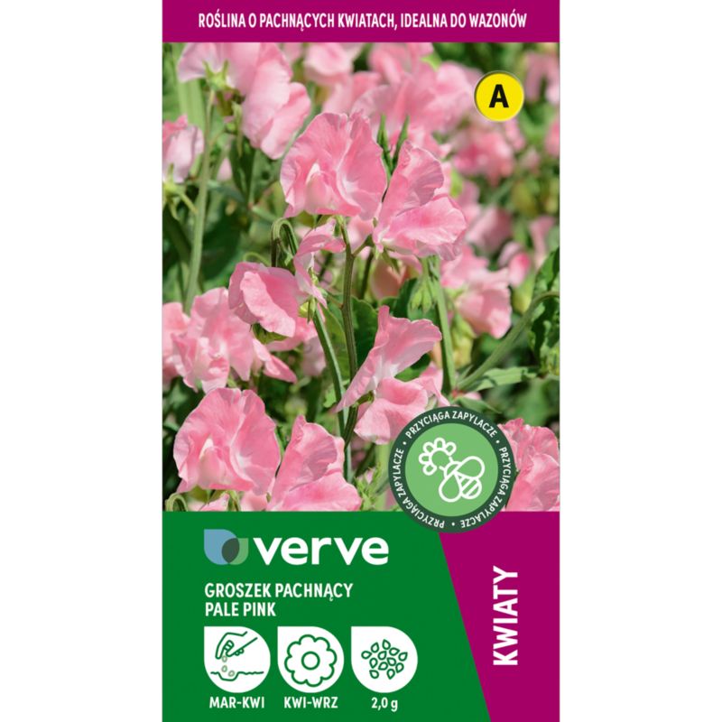 Frø af ærteblomst Pale Pink Verve