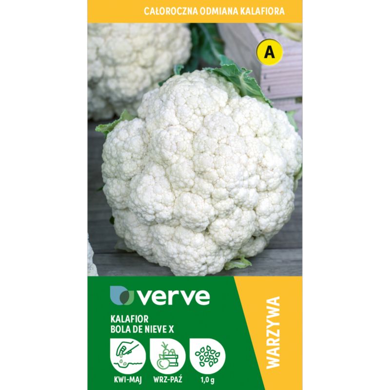 Frø af blomkål Bola de Nieve X Verve