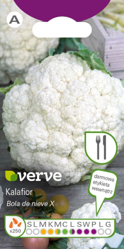Frø af blomkål Bola de Nieve X Verve