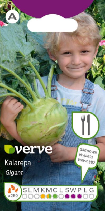 Frø af kålrabi Gigant Verve