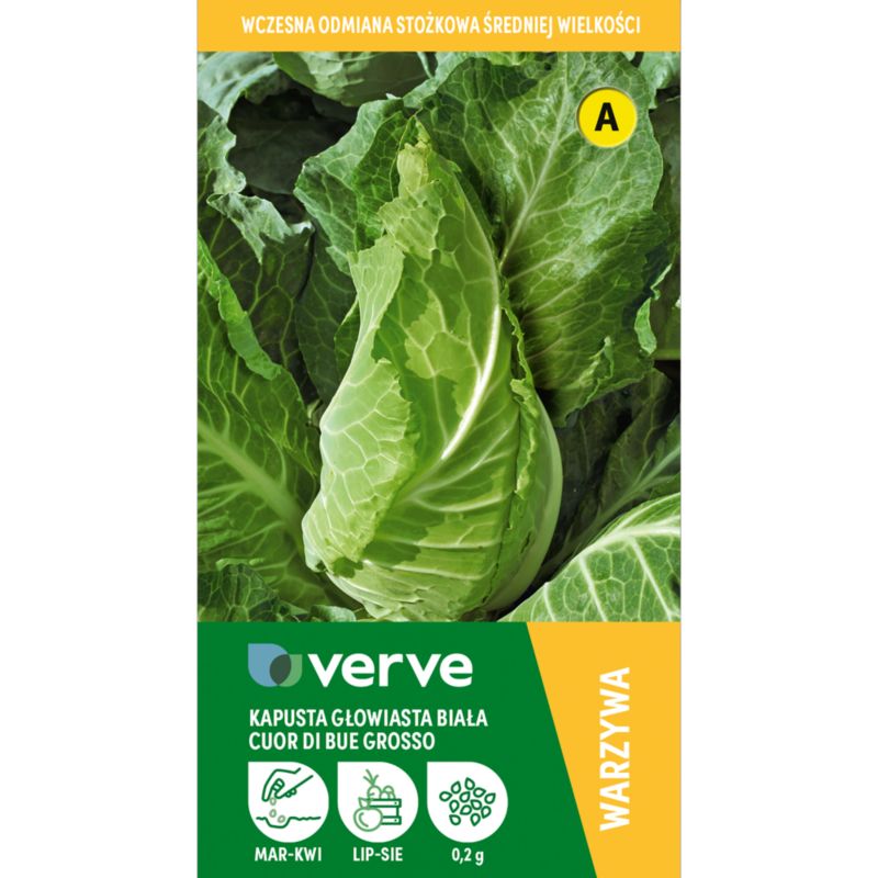 Frø til kål Cuor di bue Grosso Verve