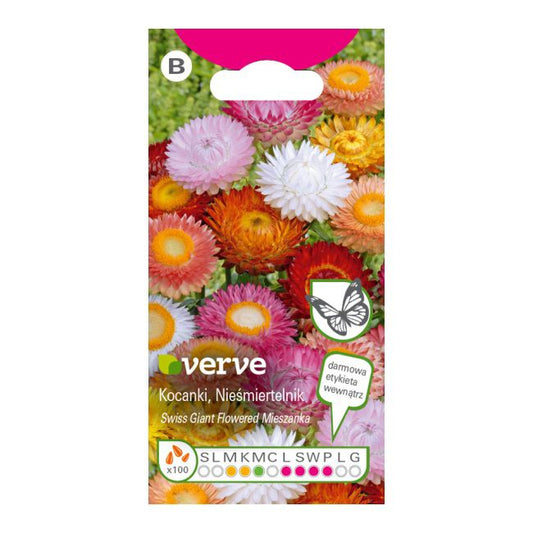 Frø af kocanki Verve mix
