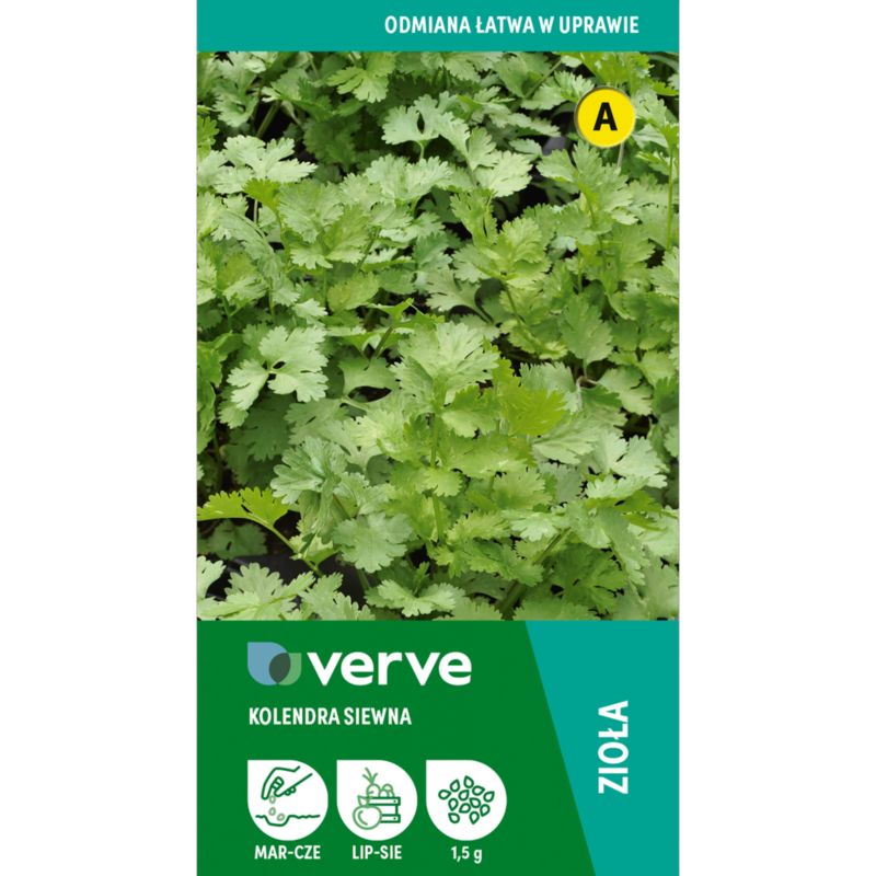 Frø af koriander Verve