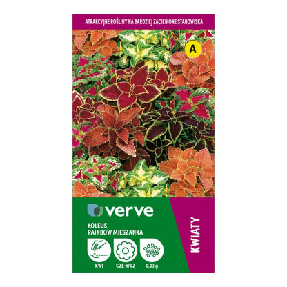 Koleusfrø Rainbow Verve