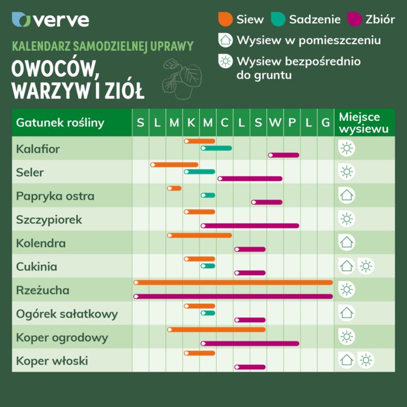 Frø af dild Verve