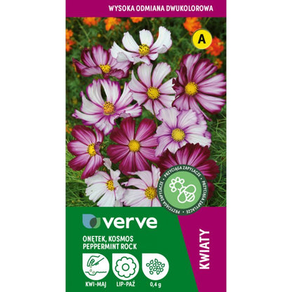 Frø af kosmos Peppermint Rock Verve farvemix