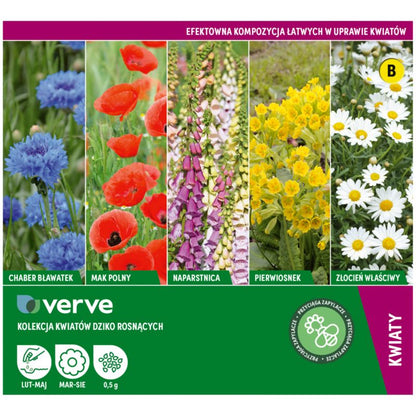 Verve-kollektion med vilde blomsterfrø
