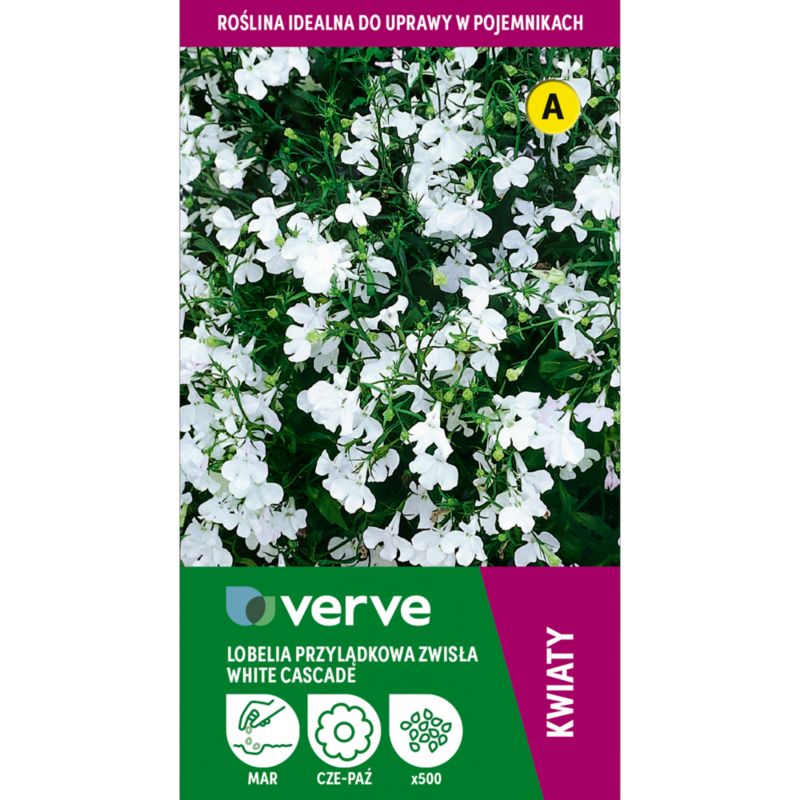 Frø af lobelia White Cascade Verve