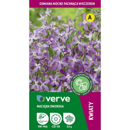 Frø af Verve aftenfrue i violet