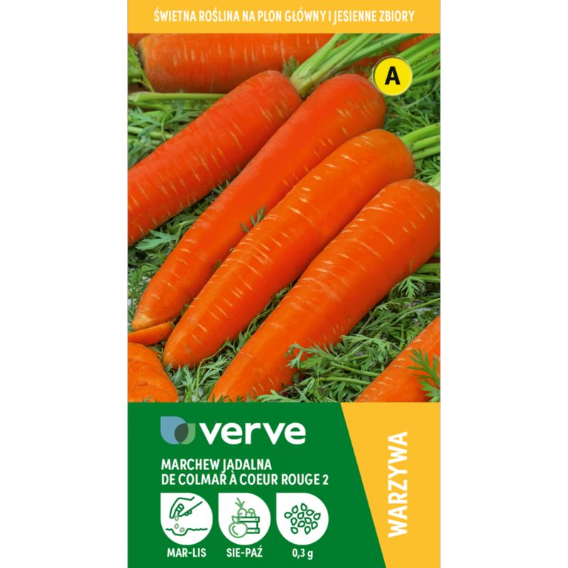 Frø til gulerod Autumn King Verve