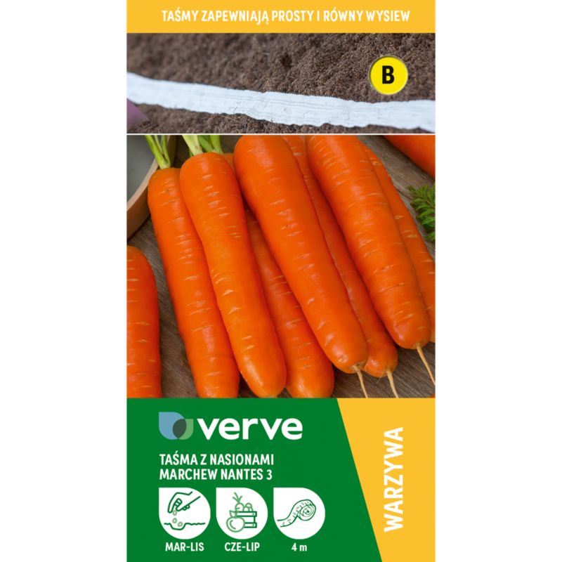Gulerodsfrø Nante 3 Verve bånd 6 m