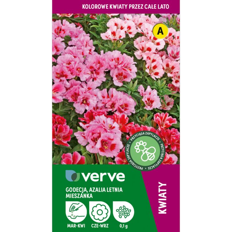 Frøblanding godecia sommerazalea Verve