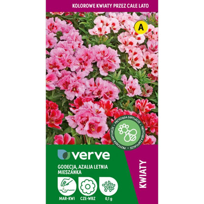 Frøblanding godecia sommerazalea Verve