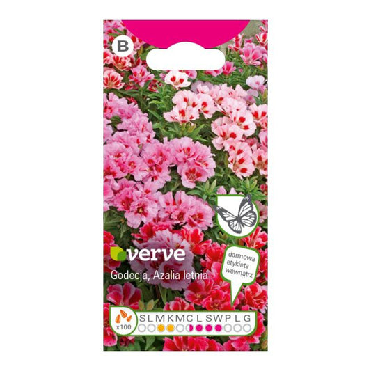 Frøblanding godecia sommerazalea Verve