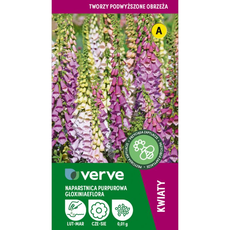 Frø af digitalis Gloxiniaeflora Verve