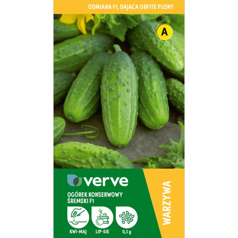 Frø til agurk Śremski F1 Verve seed