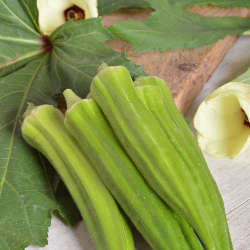 Frø til okra Clemsons Spineless Verve