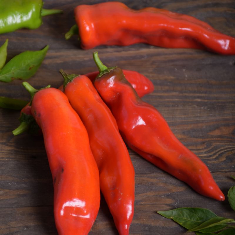 Frø af Anaheim Mild Chilipeber Verve