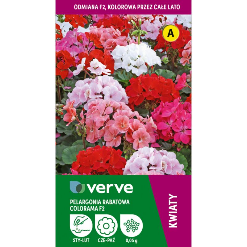 Frø til pelargonie Colorama F2 Verve