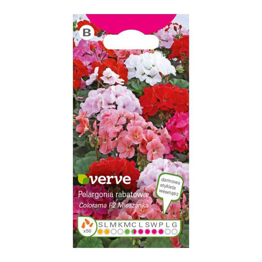 Frø til pelargonie Colorama F2 Verve
