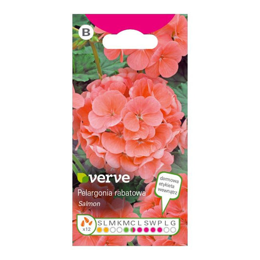 Pelargonium Salmon F Verve frø
