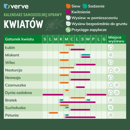 Petuniafrø Cherfull F2 Verve