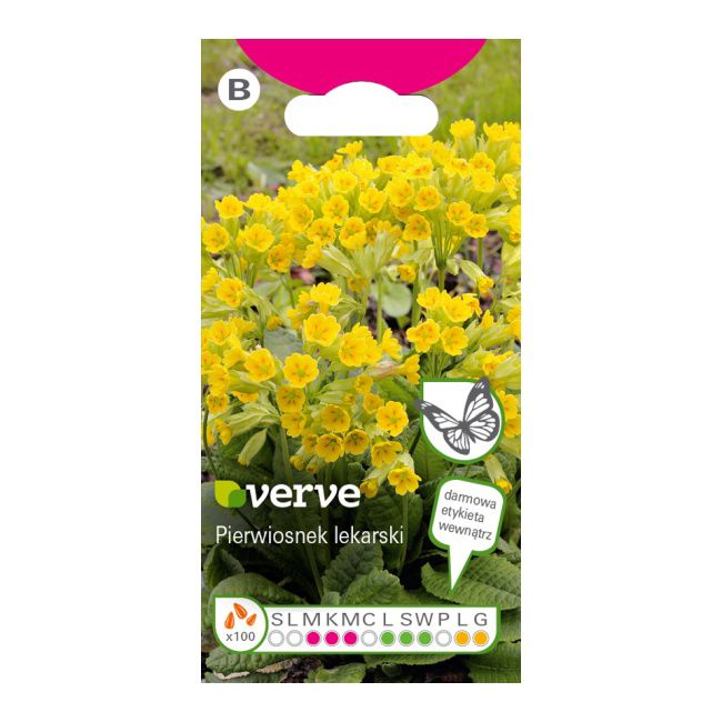 Frø af primula Verve - hårdfør flerårig plante med gule blomster